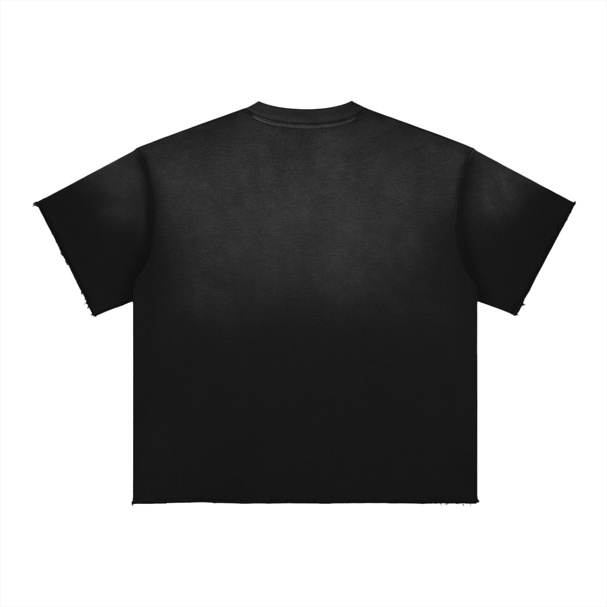 Sun Faded Raw Edge T-Shirt