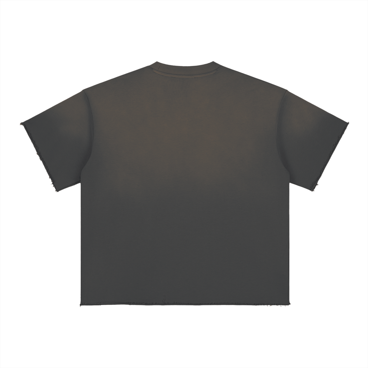Sun Faded Raw Edge T-Shirt