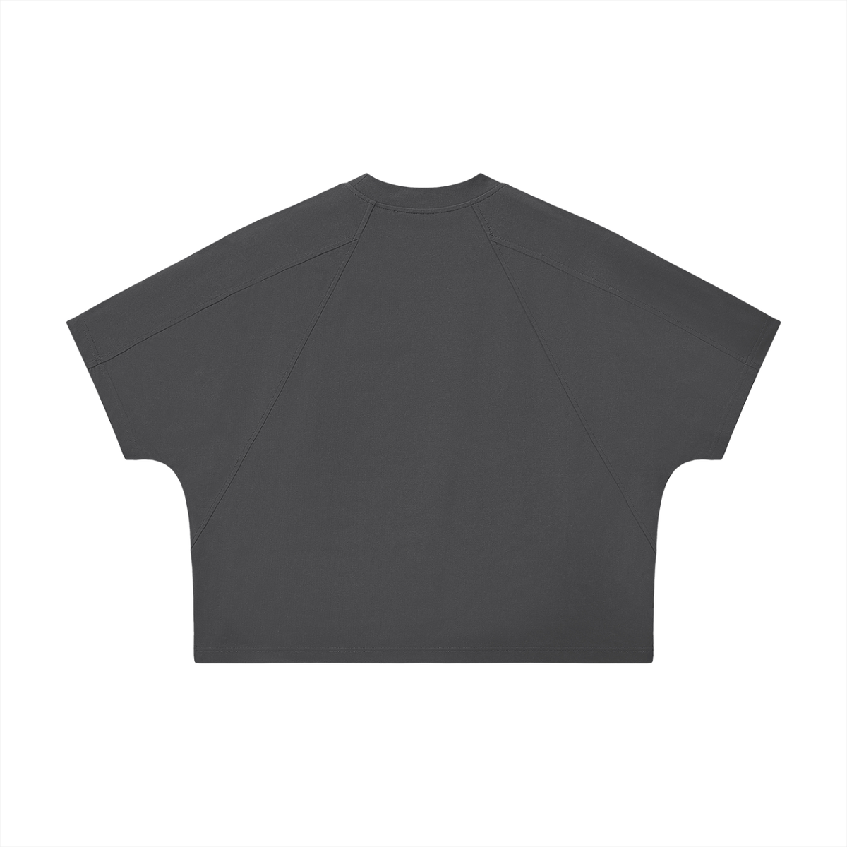 Boxy Tonal Paneling T-Shirt