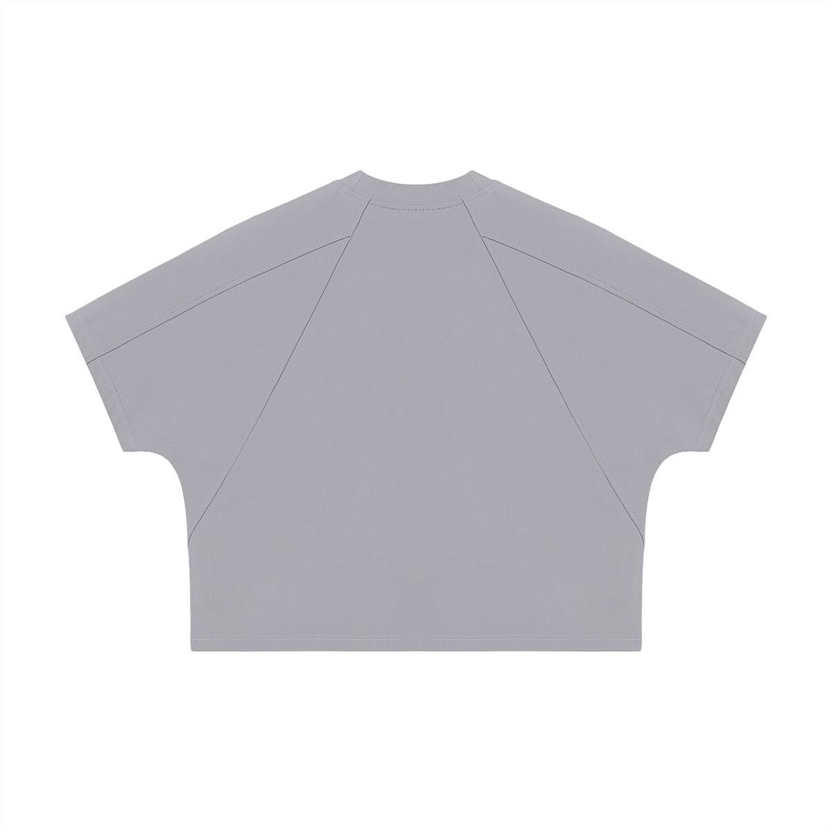 Boxy Tonal Paneling T-Shirt